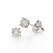 Alberti - Now and Forever earrings