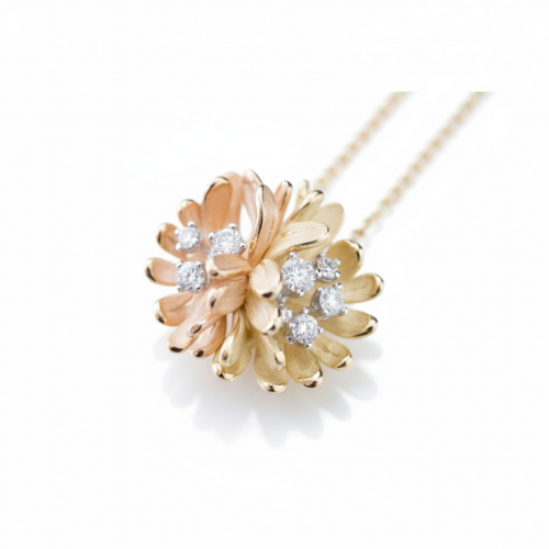 Annamaria Cammilli - Begonia kaklarota