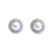 White gold earrings with Akoya pearls and diamonds