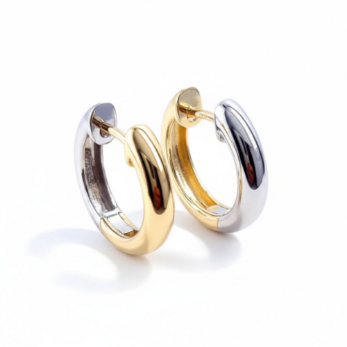 Yellow & White gold earring