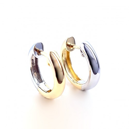 Yellow & White gold earring